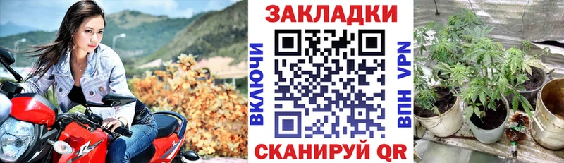 Где найти наркотики Кировск COCAIN A-PVP ГАШ МАРИХУАНА Мефедрон