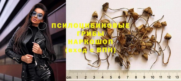 кокс Баксан