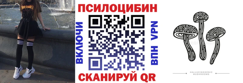 дарнет шоп Кировск hydra tor Псилоцибиновые грибы прущие грибы