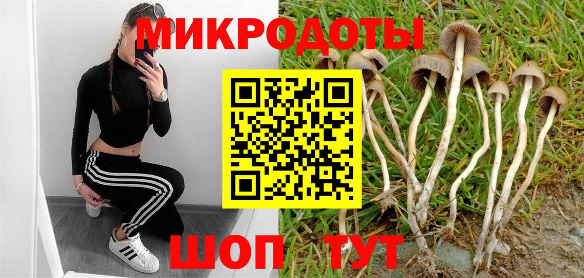 Кировск  Псилоцибиновые грибы GOLDEN TEACHER  Псилоцибиновые грибы Psilocybe  Вход с VPN 